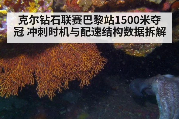 克尔钻石联赛巴黎站1500米夺冠 冲刺时机与配速结构数据拆解（kaiyun sports）